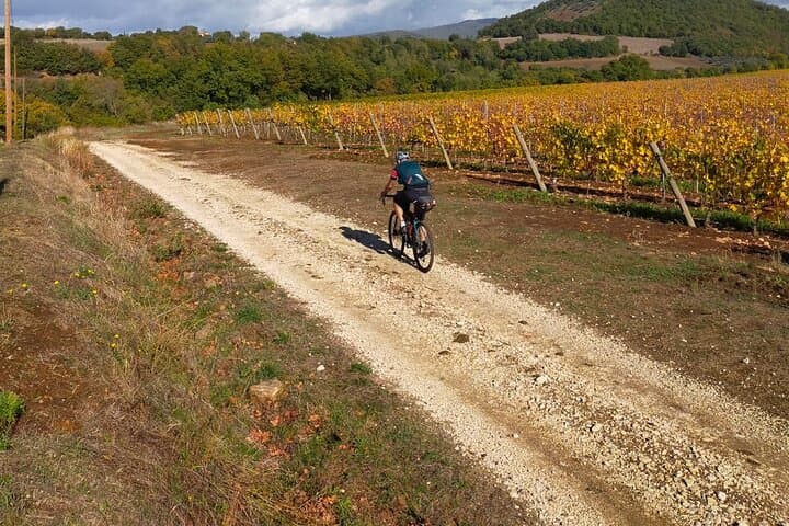 Full-Day Touring Bike Rental in Tuscany — Ride the Countryside from Florence photo 5