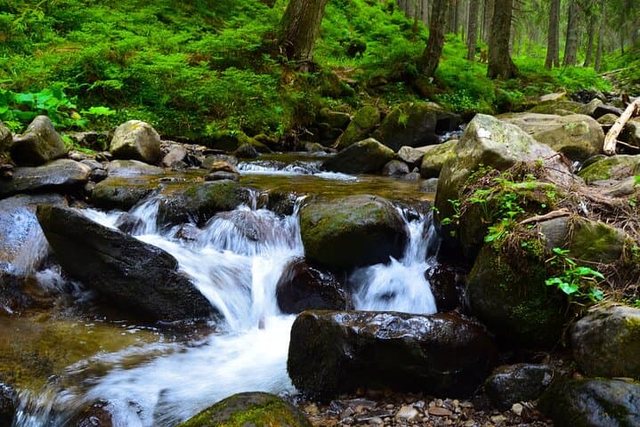Valencia Waterfall Hike from Palomino: Natural Pools & Sierra Nevada Forest Day Tour photo 2