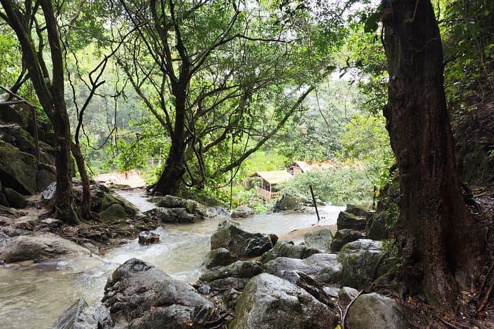 Valencia Waterfall Hike from Palomino: Natural Pools & Sierra Nevada Forest Day Tour photo 3