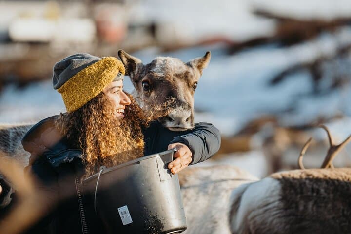 Arctic Fjords & Sami Reindeer Experience — Day Tour from Tromsø photo 3