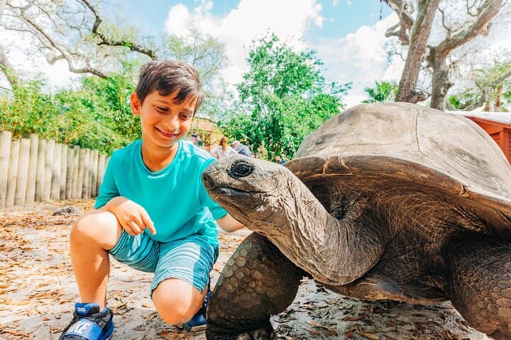 Explore Tampa's ZooTampa and Florida Aquarium: A Family Adventure of Wildlife and Water photo 2