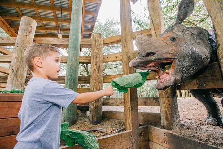 Explore Tampa's ZooTampa and Florida Aquarium: A Family Adventure of Wildlife and Water