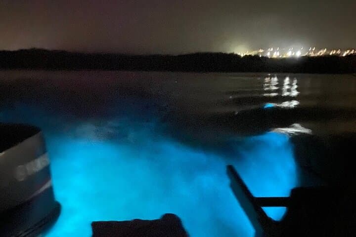 Montego Bay Luminous Lagoon Night Boat Tour & Swim photo 2