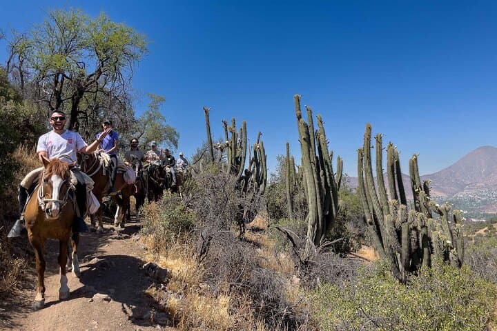 Andes Horseback Ride with Cheese & Wine Picnic — Private Tour from Santiago photo 4