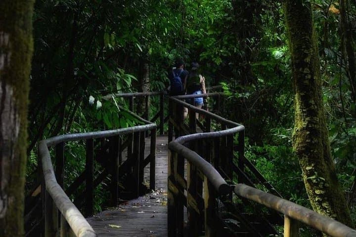 Full-Day Manuel Antonio National Park Tour from San Jose — Wildlife, Trails & Beach photo 4