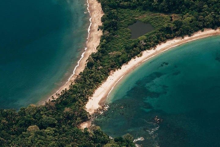 Full-Day Manuel Antonio National Park Tour from San Jose — Wildlife, Trails & Beach photo 3