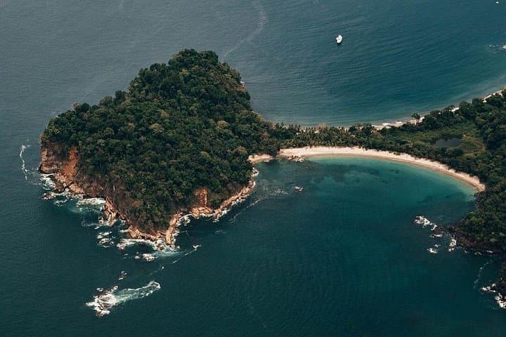 Full-Day Manuel Antonio National Park Tour from San Jose — Wildlife, Trails & Beach photo 2