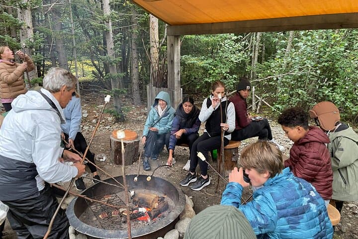 Musher's Camp and S'More Roasting in Dyea — Skagway Puppy Meet & Campfire Experience photo 4