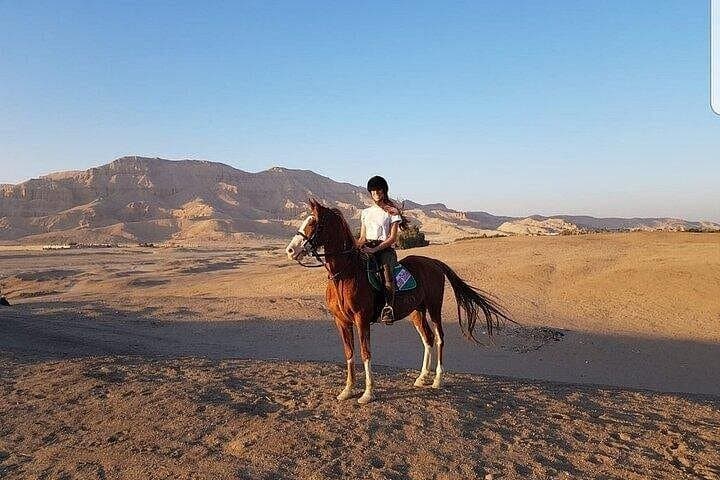 Sunset Horseback Ride on Luxor's West Bank: Farmers, Canals & Desert Views photo 2