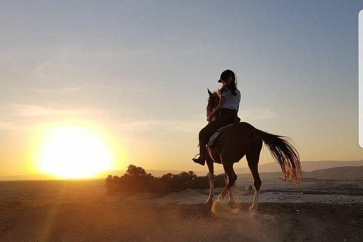 Sunset Horseback Ride on Luxor's West Bank: Farmers, Canals & Desert Views photo 3