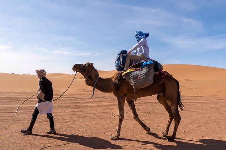 Sahara Trekking from Zagora: Stony Desert, Oases, and Chegaga Dunes (5-Day Guided Trek) photo 3