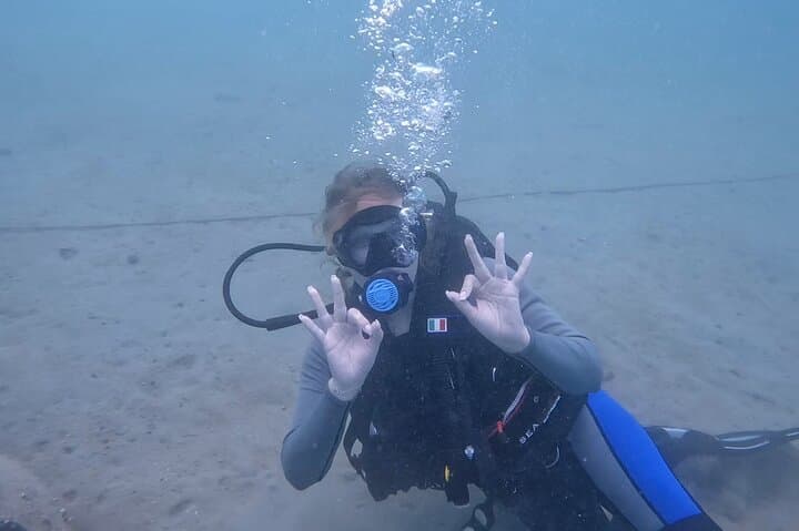 Try Scuba Dive in Qatar: PADI Intro Dive Off Doha's Coast photo 4