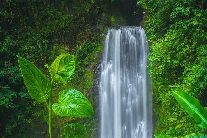 El Tigre Waterfalls Hike: Monteverde Cloud Forest Day Trek with Lunch photo 5