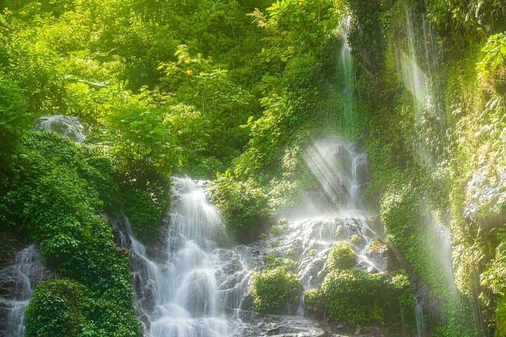 El Tigre Waterfalls Hike: Monteverde Cloud Forest Day Trek with Lunch photo 6