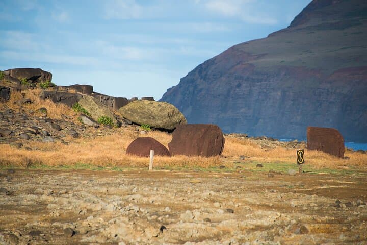 Private Full-Day Easter Island Highlights — South & East Moai Tour photo 3