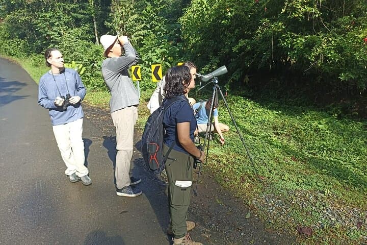 Uvita Bird Watching at Oro Verde: 3-Hour Guided Tour in Primary Forest photo 2
