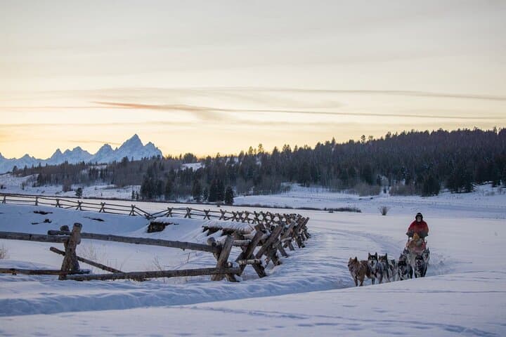 Jackson Hole Dog Sledding Adventure: Buffalo Fork Sled Tour Under the Tetons photo 4