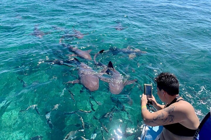 Hol Chan & Turtle Garden Snorkel Tour from Belize City photo 4