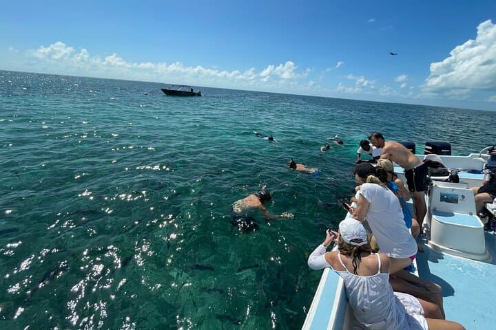Hol Chan & Turtle Garden Snorkel Tour from Belize City photo 5
