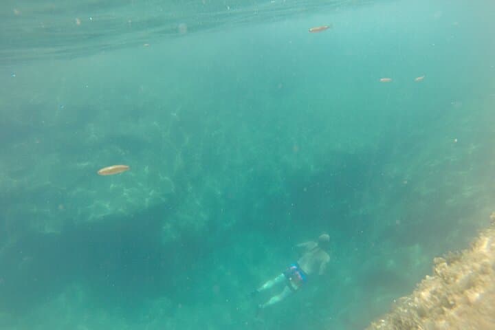 Snorkel S. Jorge: Caves, Natural Pools & Sunken-Boat Adventure photo 3