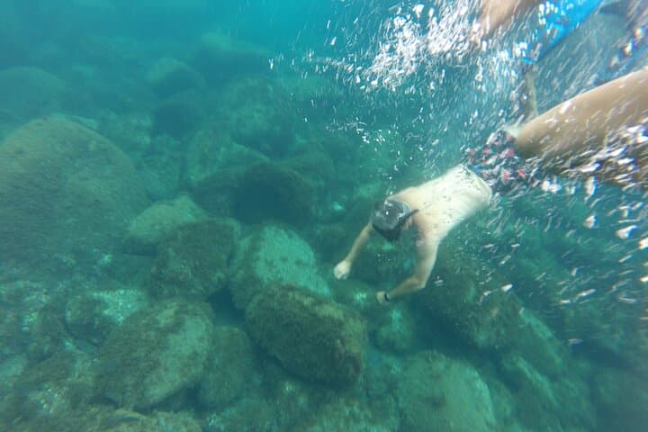Snorkel S. Jorge: Caves, Natural Pools & Sunken-Boat Adventure