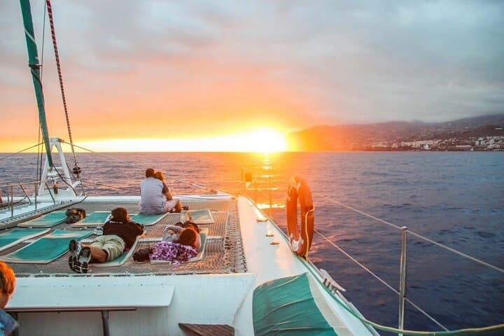 Funchal Hop-On Hop-Off and Catamaran Whale & Dolphin Watching — Bus & Boat Combo photo 2