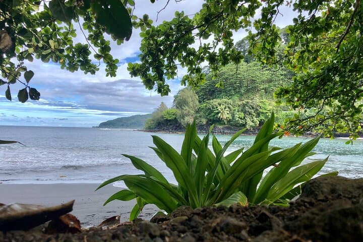 Tahiti Half-Day Coast Tour — East Coast Wilderness or West Coast Beaches