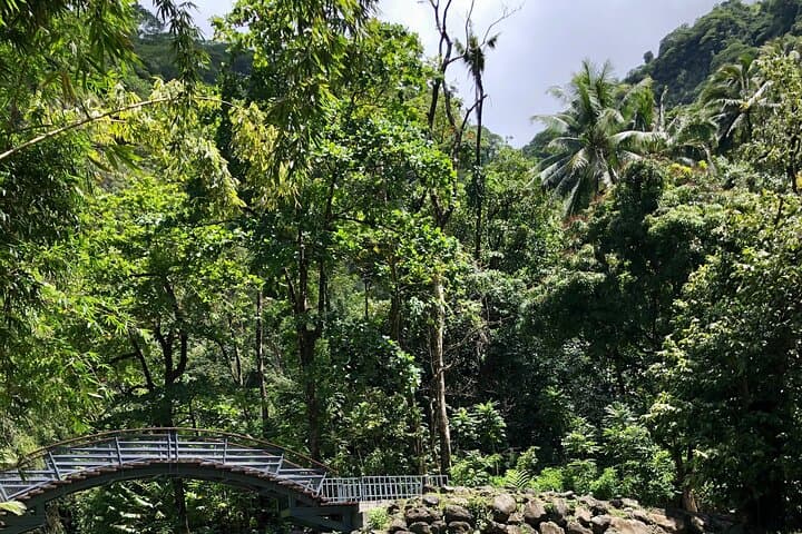 Tahiti Half-Day Coast Tour — East Coast Wilderness or West Coast Beaches photo 5