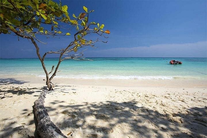 Phuket Speedboat Day Trip to Maiton, Phi Phi & Maya Bay — Snorkel, Lagoons & White Sands photo 1
