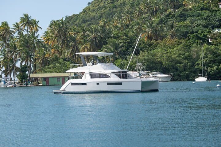 Private Full-Day Catamaran to Martinique from St. Lucia — Day-Trip Guide photo 4