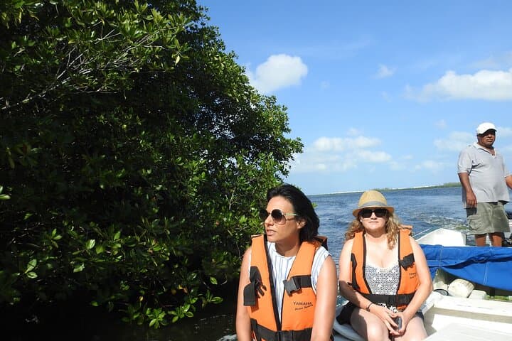 Sunset Wildlife Expedition on Isla Blanca: Private Bike & Boat Tour from Cancun photo 3