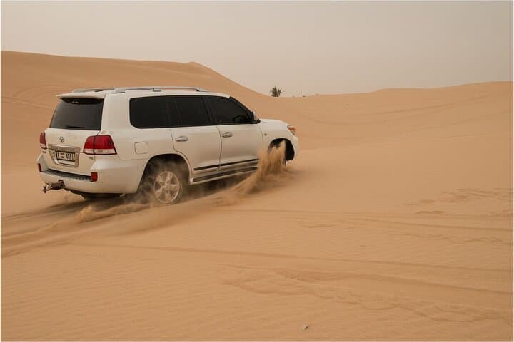 Abu Dhabi Morning Desert Safari: Private 4x4 Dune Bashing & Sandboarding photo 4