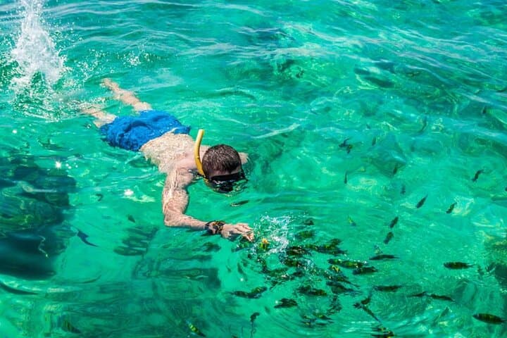 VIP Private Boat to Phi Phi Island — Full-Day Snorkel & Maya Bay Tour photo 5