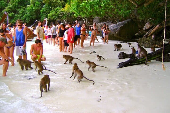 VIP Private Boat to Phi Phi Island — Full-Day Snorkel & Maya Bay Tour photo 4