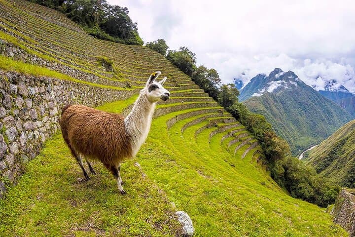 Cusco 4-Day Itinerary: City, Sacred Valley, Machu Picchu & Rainbow Mountain photo 5