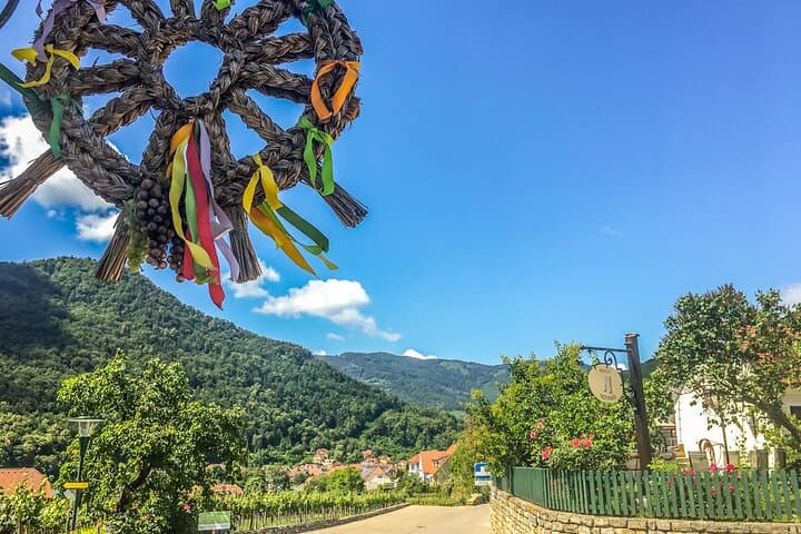 Wachau World Heritage Hike — Danube Panoramas, Vineyards & Heurigen Stops photo 3