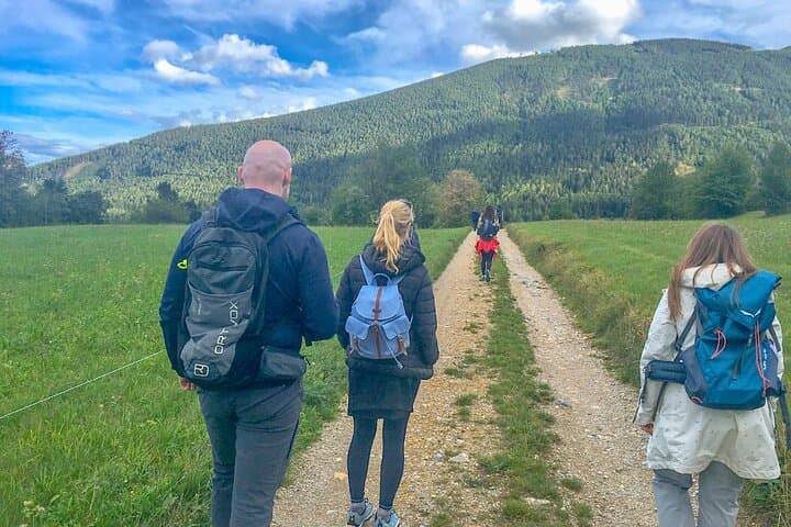 Schneeberg Valley Hike — Waterfalls, Pine Forests & Puchberg Views photo 5
