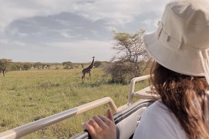 4-Day Masai Mara and Lake Nakuru Mid-Luxury Safari photo 1