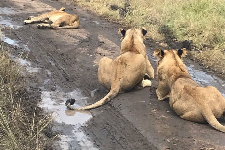 25-Day East Africa Safari: Uganda, Rwanda, Kenya & Tanzania with Zanzibar photo 6