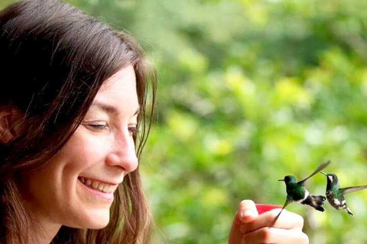 Mindo Cloud Forest Hummingbird & Orchid Private Tour from Quito photo 5