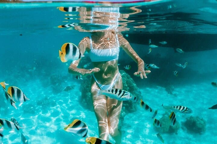 Moorea Full-Day Snorkel and Sunset Cruise on the Catamaran Taboo photo 2