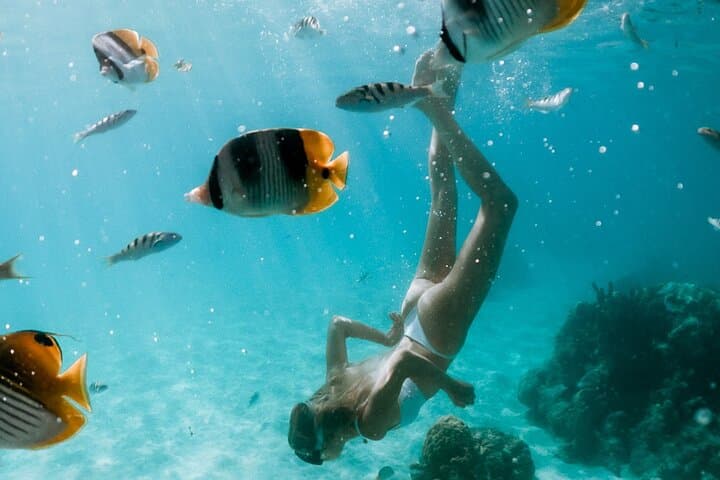 Moorea Full-Day Snorkel and Sunset Cruise on the Catamaran Taboo photo 3