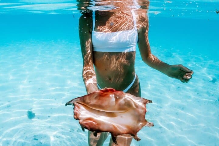 Moorea Full-Day Snorkel and Sunset Cruise on the Catamaran Taboo photo 5
