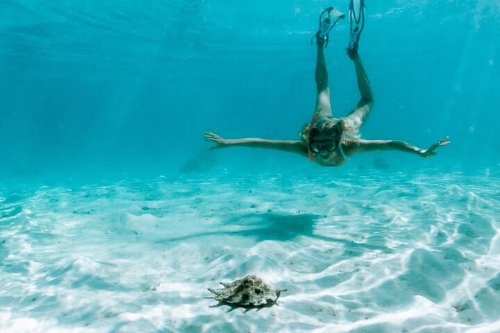 Moorea Full-Day Snorkel and Sunset Cruise on the Catamaran Taboo photo 6