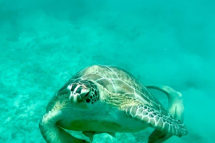 Private Luxury Catamaran Full-Day Charter in St. Thomas — Snorkel, Beaches & Open Bar photo 5