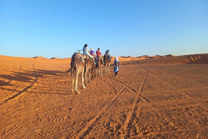 Eight-Day Private Casablanca to Merzouga Dunes: Camel Ride & Luxury Desert Camp photo 3