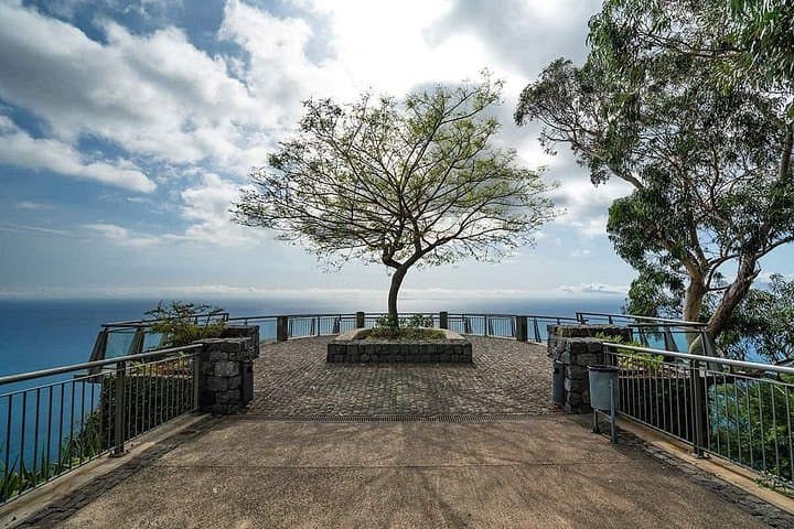 Fanal Forest, Cabo Girão Skywalk & Porto Moniz Pools: Full-Day Madeira Adventure photo 4