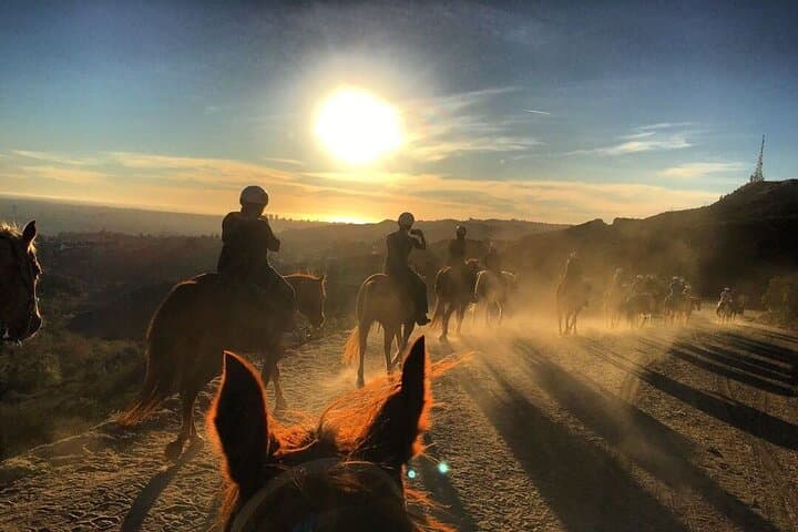 Ride to Mt. Hollywood Summit: Griffith Park Horseback Trail Tour