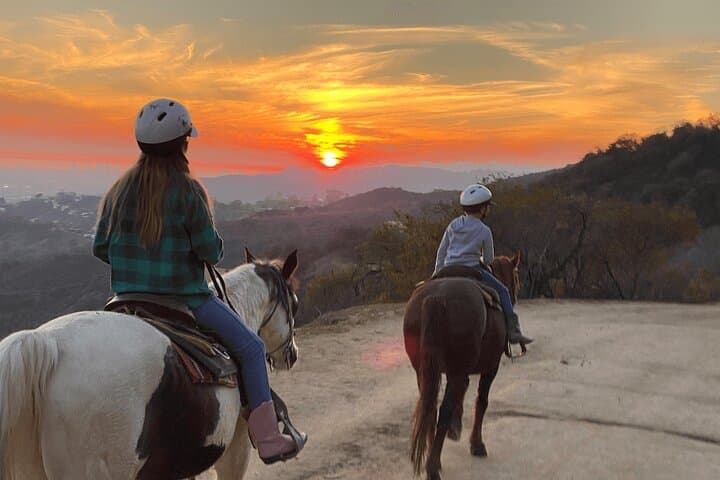 Ride to Mt. Hollywood Summit: Griffith Park Horseback Trail Tour photo 4