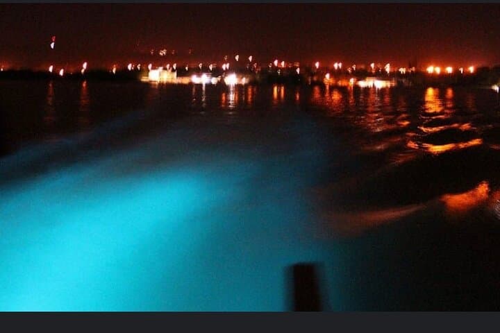 Montego Bay Luminous Lagoon Night Cruise: Private Bioluminescent Boat Tour photo 2